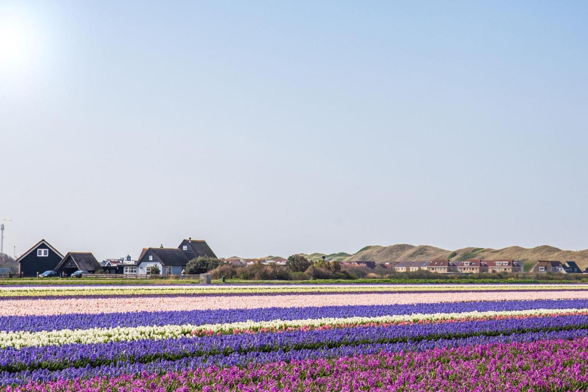 Vakantiehuis Beau - Julianadorp Aan Zee Экстерьер фото